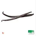 2 pods of LAVANY Bourbon Organic Vanilla from Madagascar