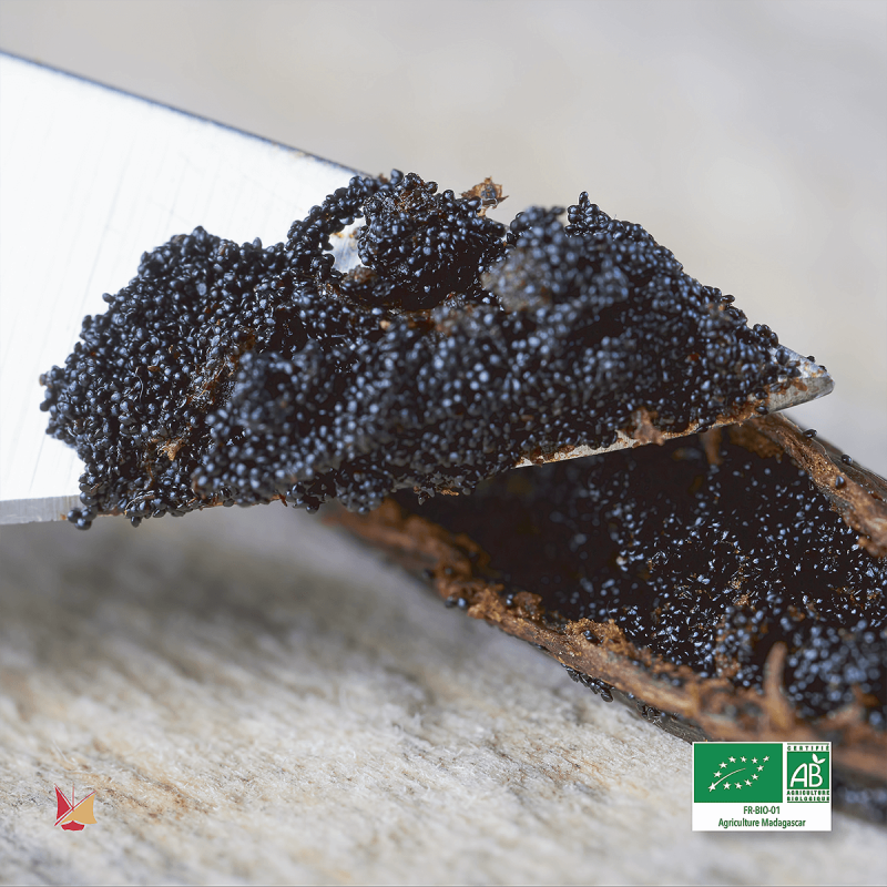 Grains de Vanille Biologique LAVANY Bourbon de Madagascar