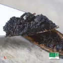 Bio LAVANY Bourbon Vanilleschoten aus Madagaskar