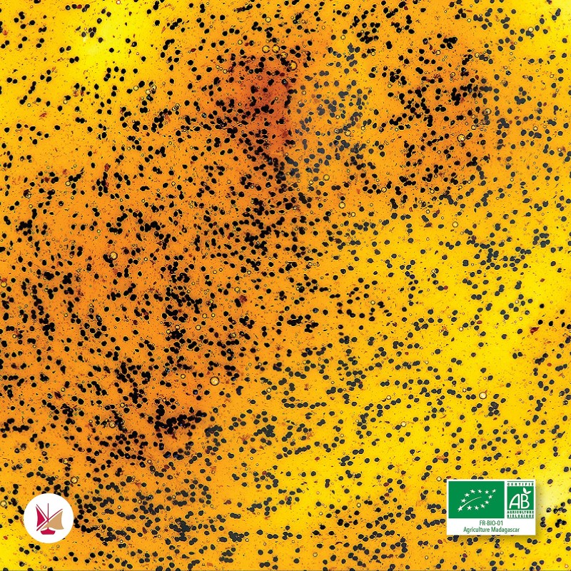 LAVANY Organic Vanilla Liquid Extract