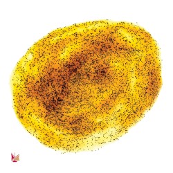 Pâte de Vanille LAVANY avec les grains de Vanille