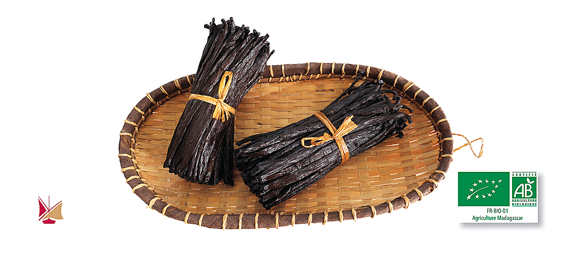 Gousses de vanille