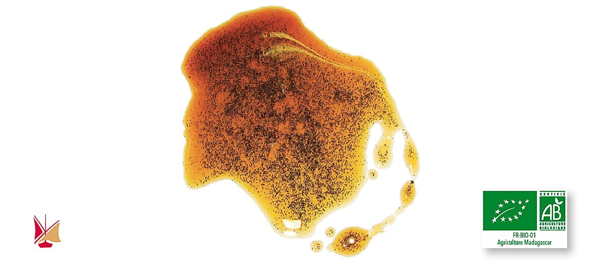 Extrait liquide de vanille